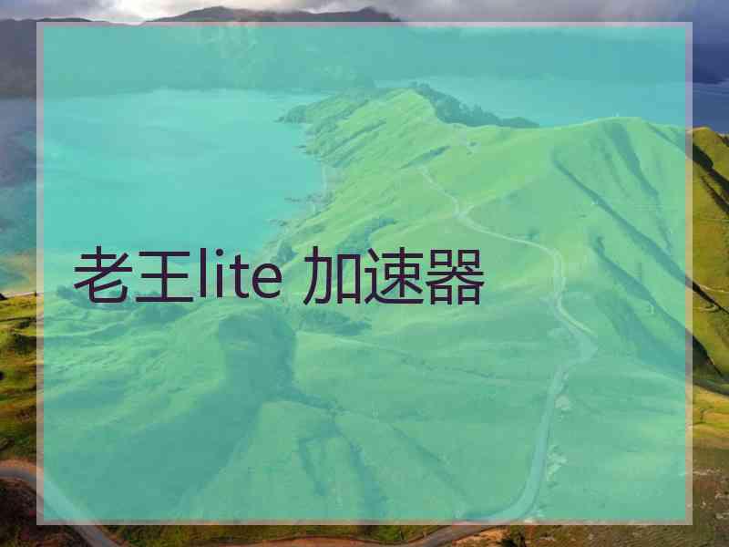 老王lite 加速器